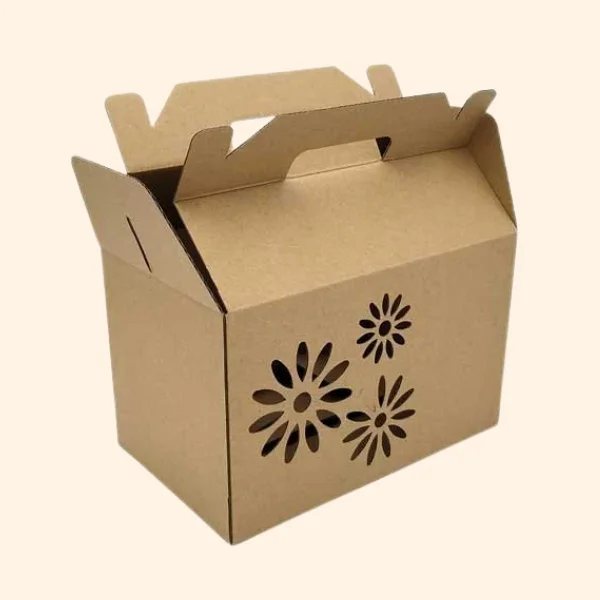 Die Cut Packaging Boxes