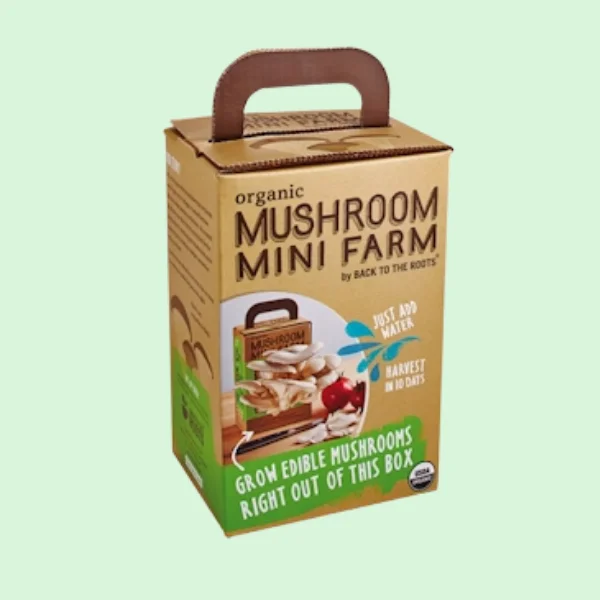 Custom Mushroom boxes