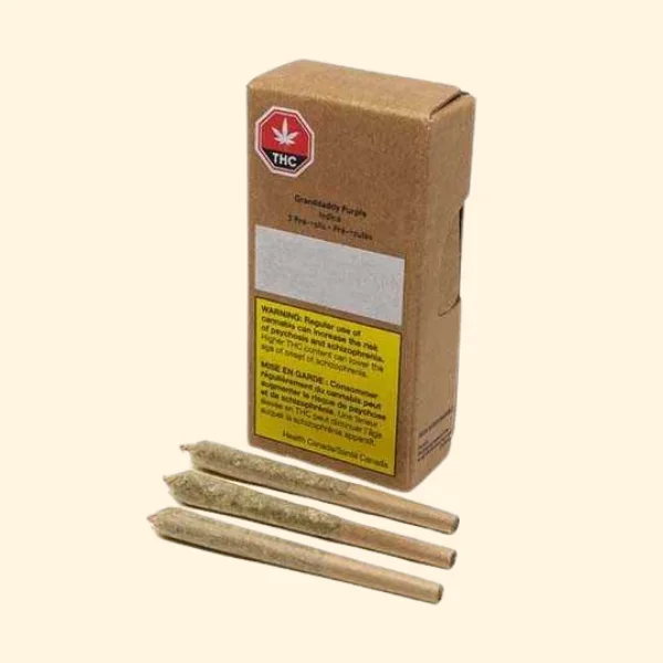 Edison Casablanca Pre Roll Packaging Boxes