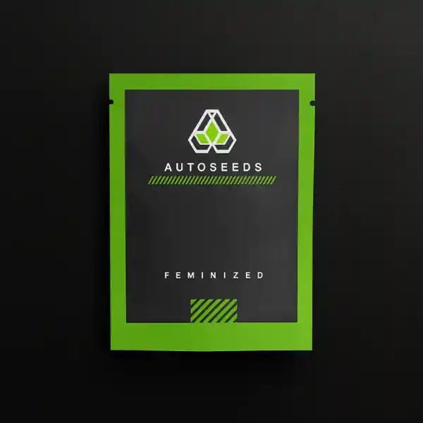 Custom Sealed Mylar Bags - Heat Sealed Mylar Bags